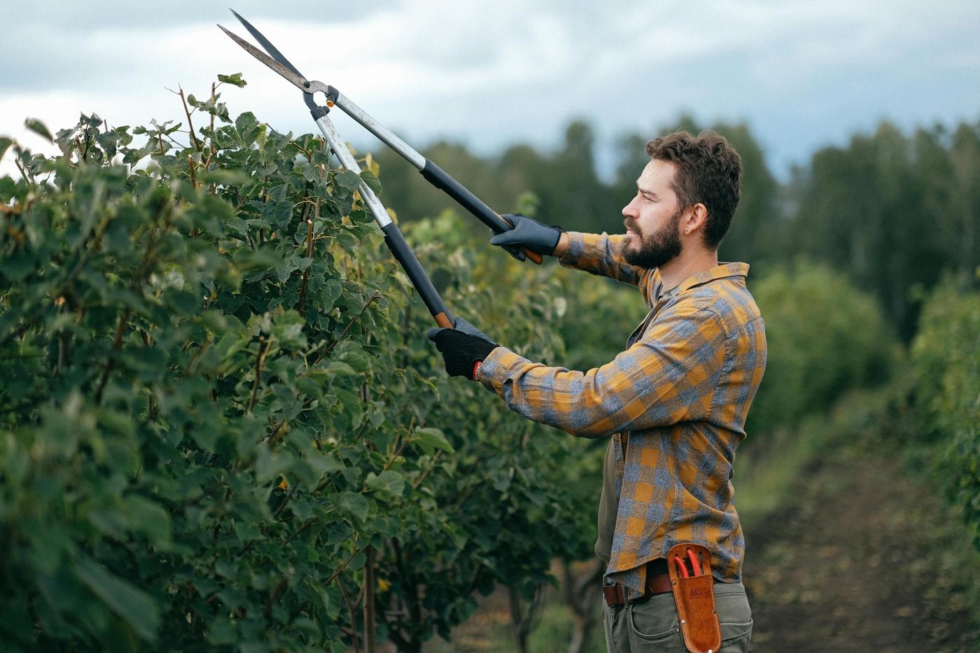 Backpacker doing farm work in hi-vis vest